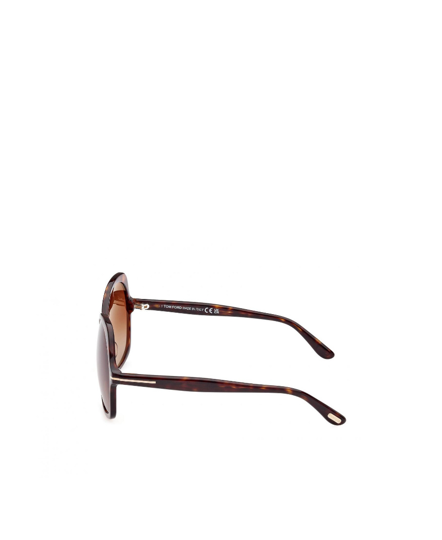 Tom Ford Eyewear Oversized-frame Sunglasses In Brown