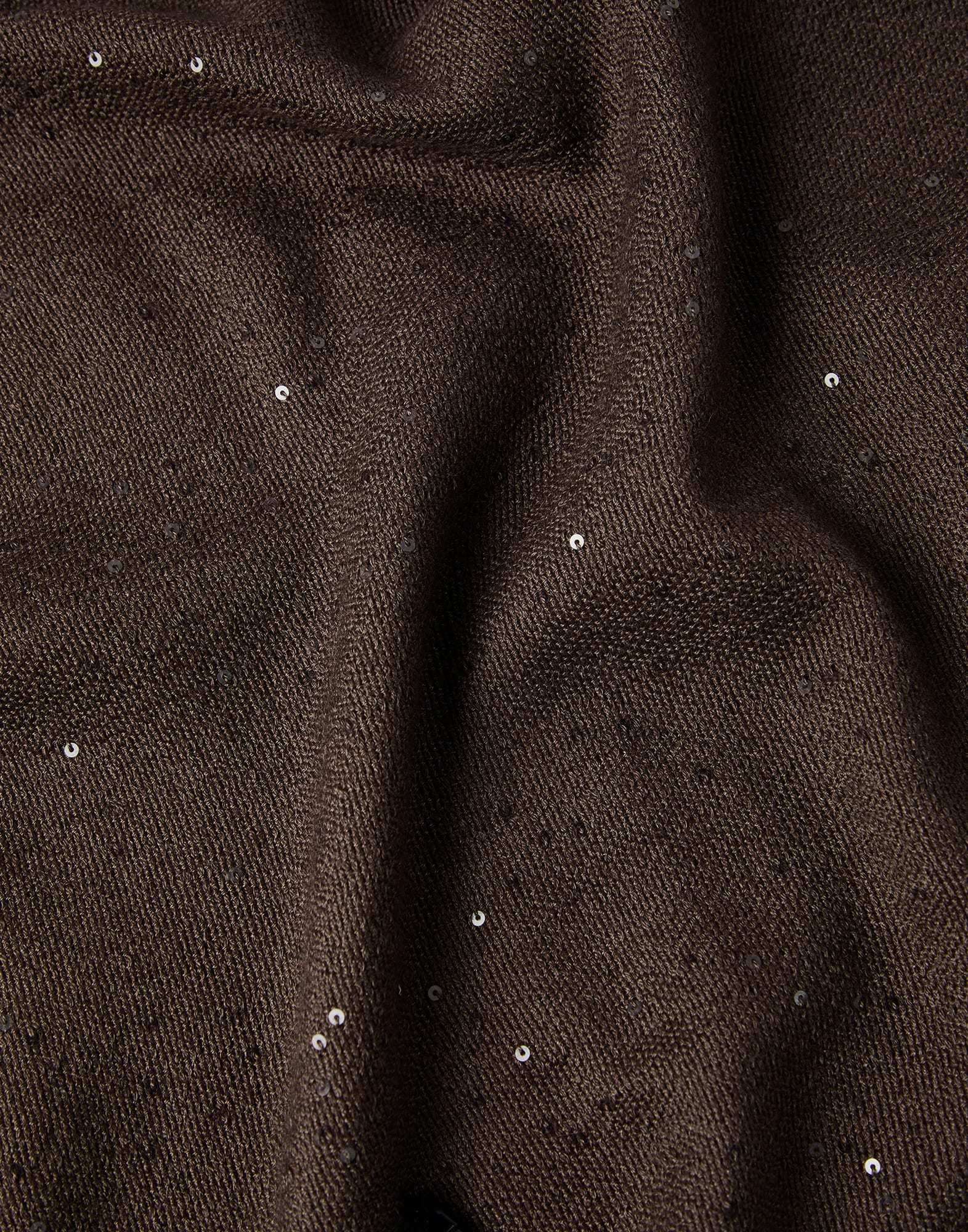 Brunello Cucinelli Sequin-embellished Scarf In Brown