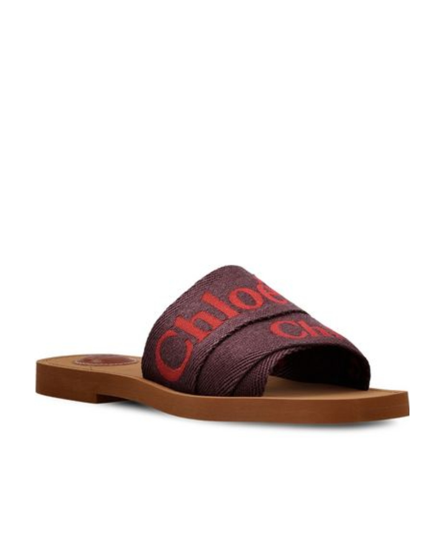 Chloé Logo Slippers In Brown