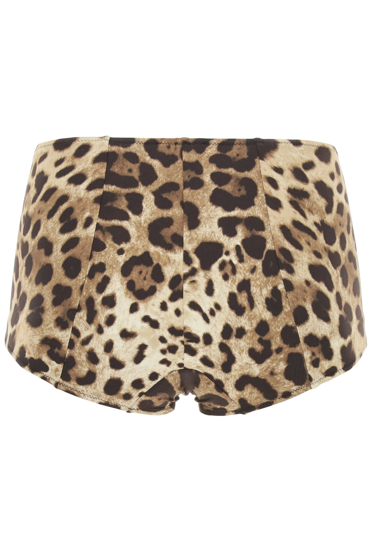Dolce & Gabbana Leopard Print High-waisted Bikini Bottoms In Black