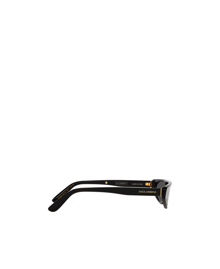 Dolce & Gabbana Re-edition Dna Cat-eye Frame Sunglasses In Black