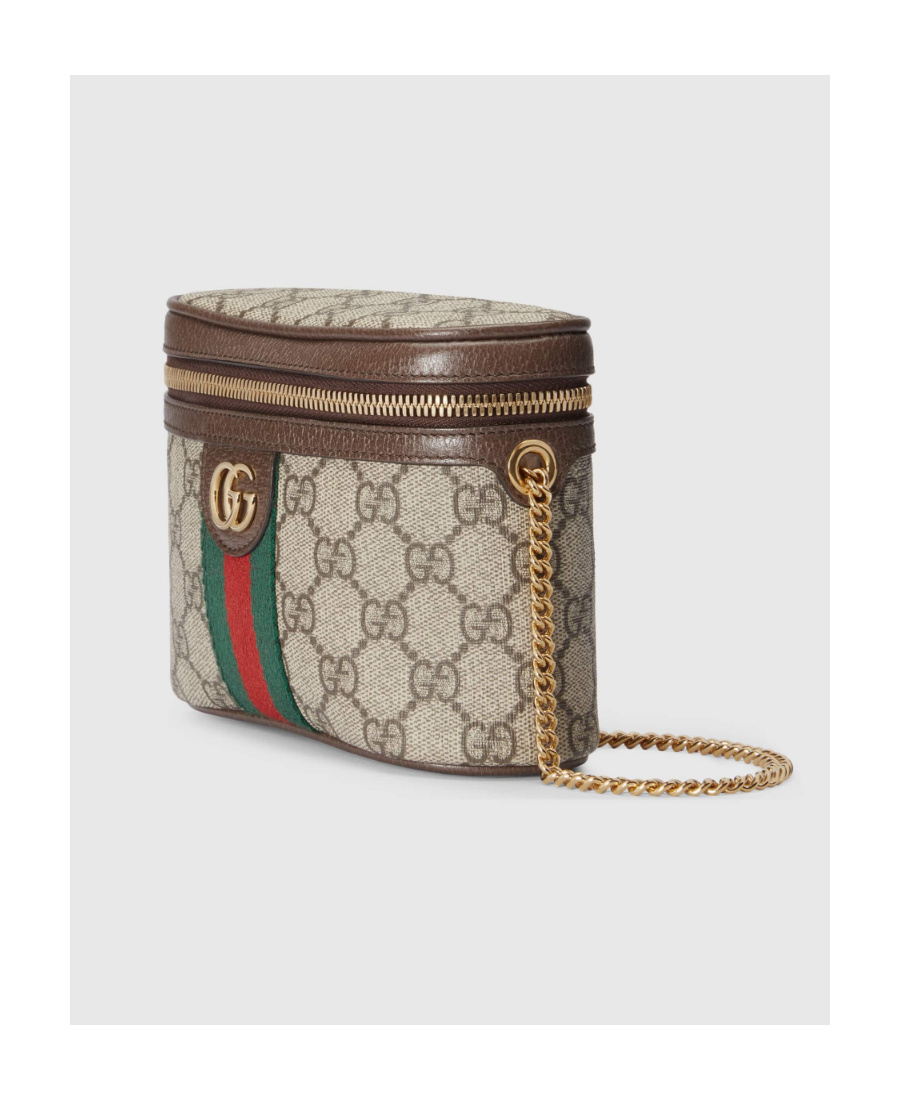 Gucci Ophidia Belt Bag In Multicolor