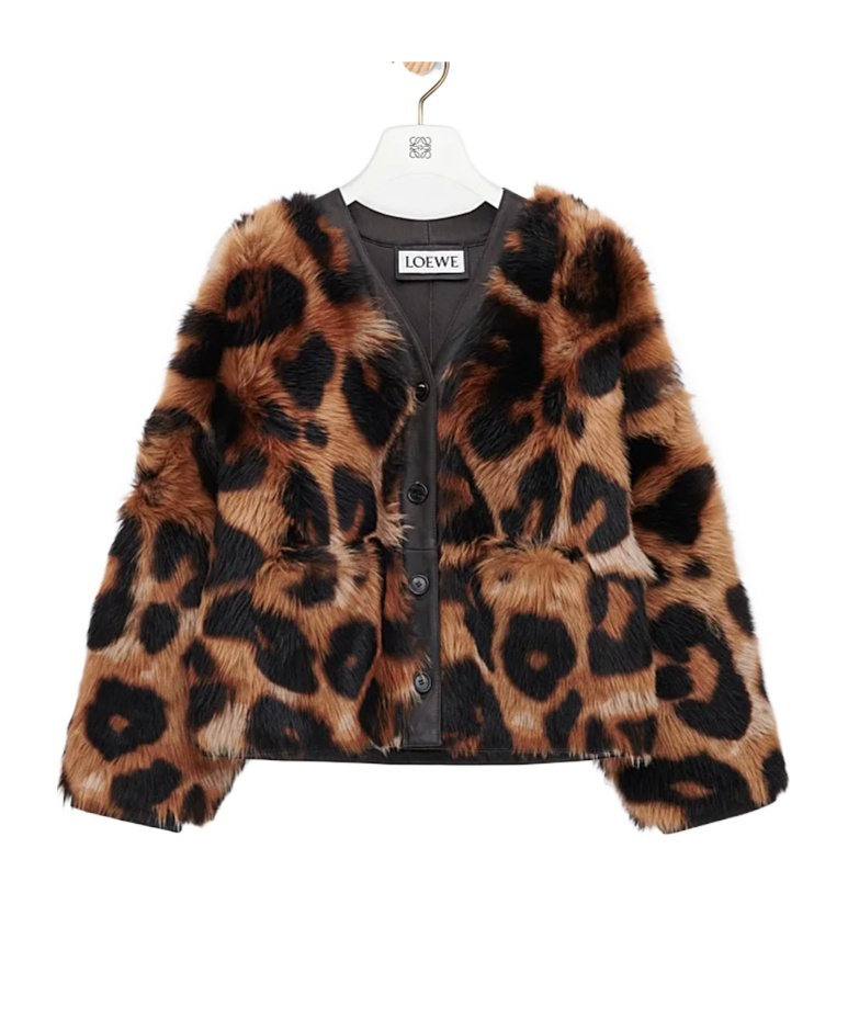 Loewe Leopard-print Shearling Jacket In Multi