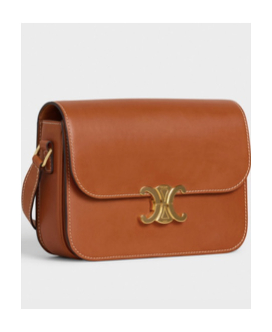 Celine Ten Trimphe Cross-body Bag In Brown
