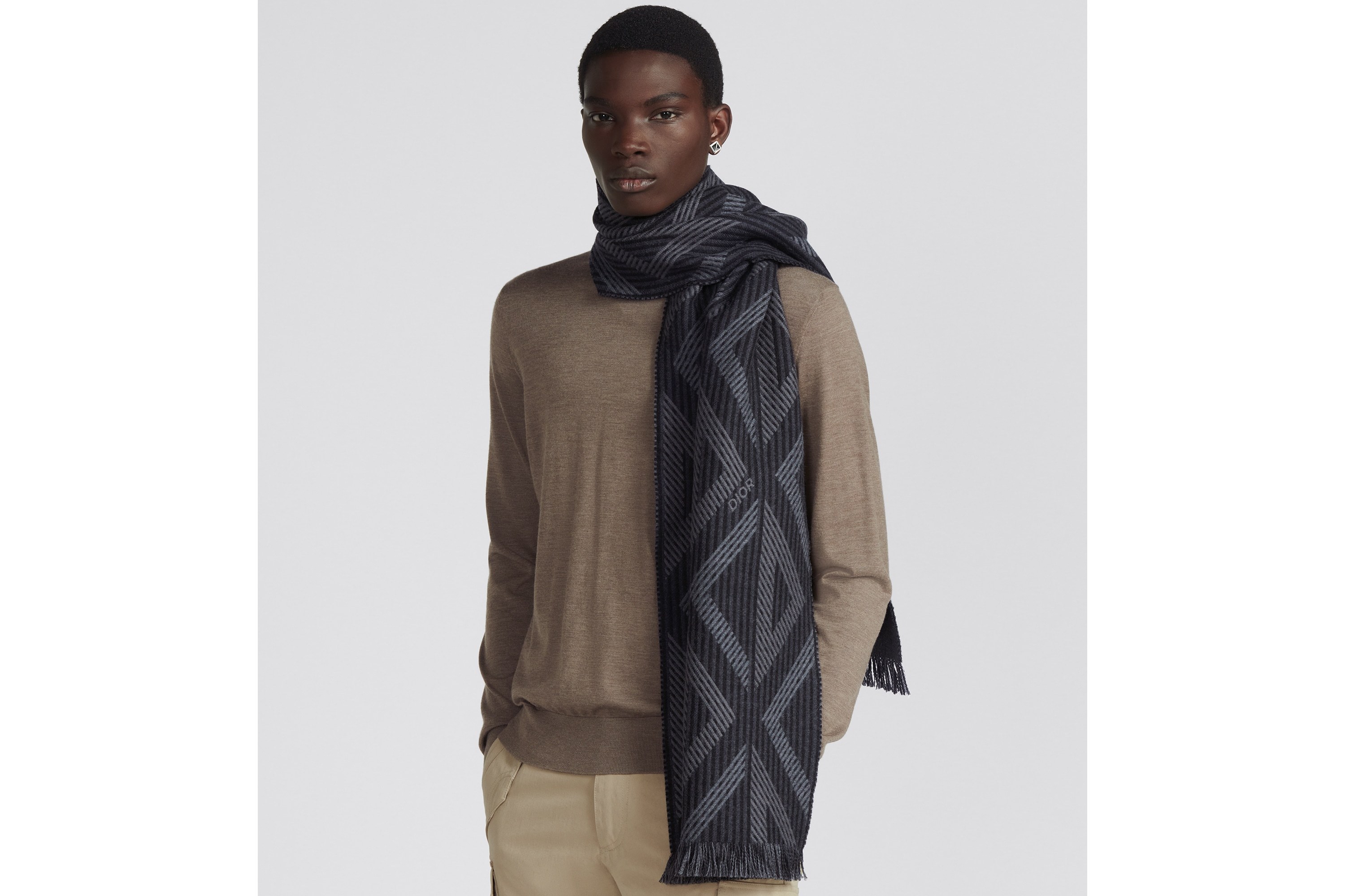 Dior Logo Printed Scarf In Black