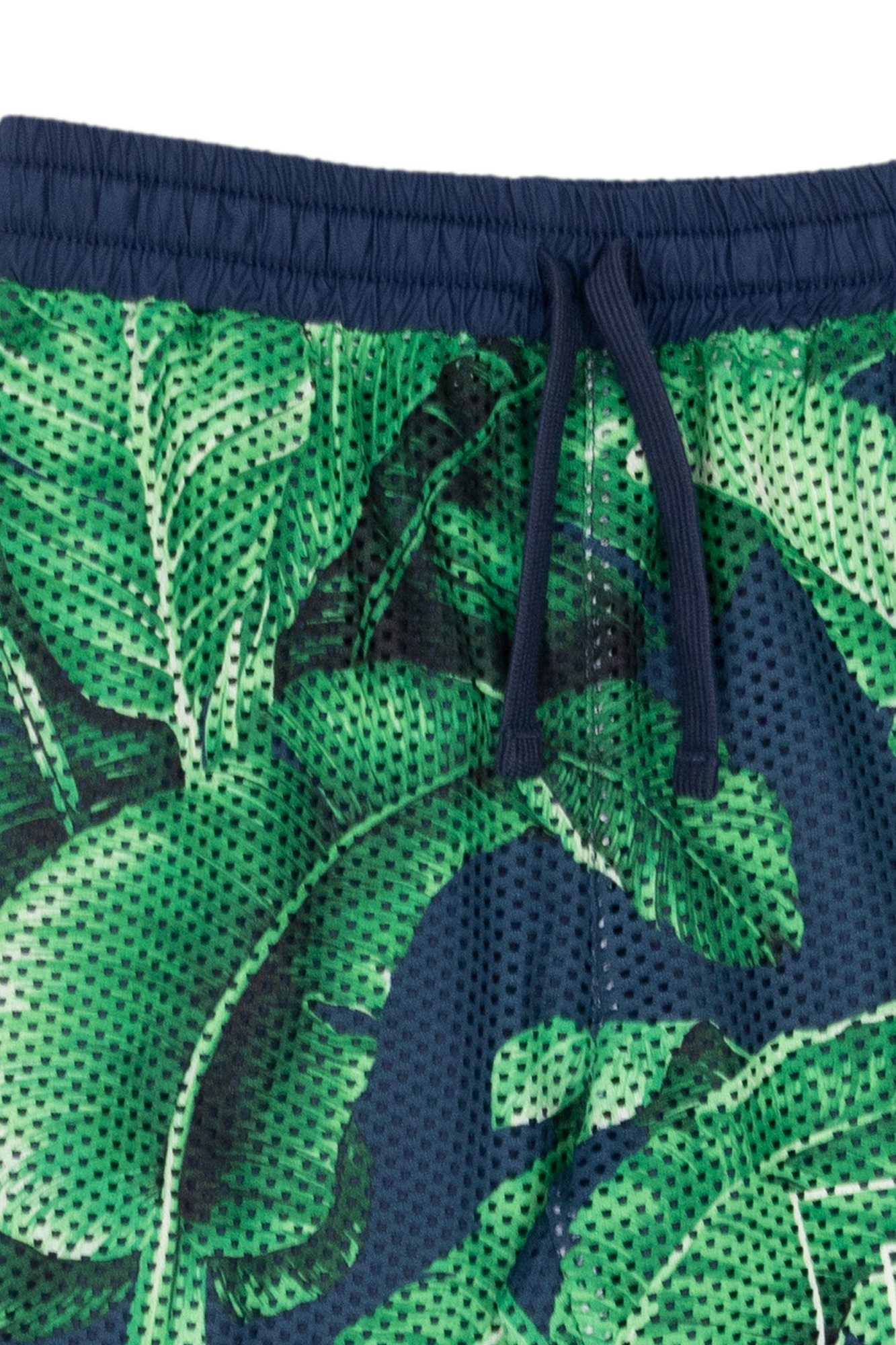 Dolce & Gabbana Banana Leaf-print Cotton Bermuda Shorts In Green