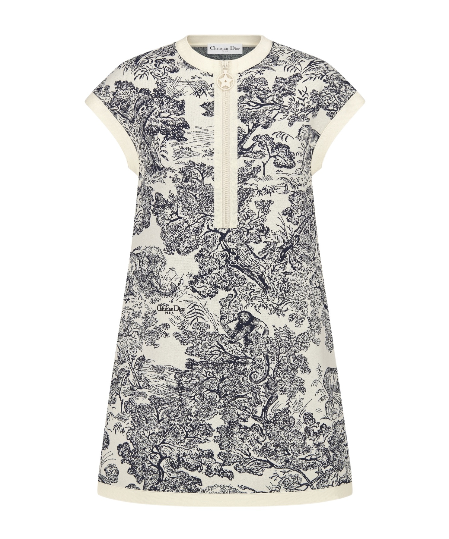 Dior Iviera Short Flared Dress In Multi