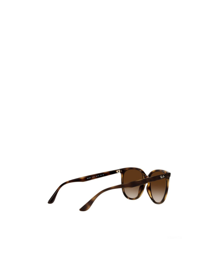 Ray Ban Emblem Daidai Pattern Sunglasses In Brown