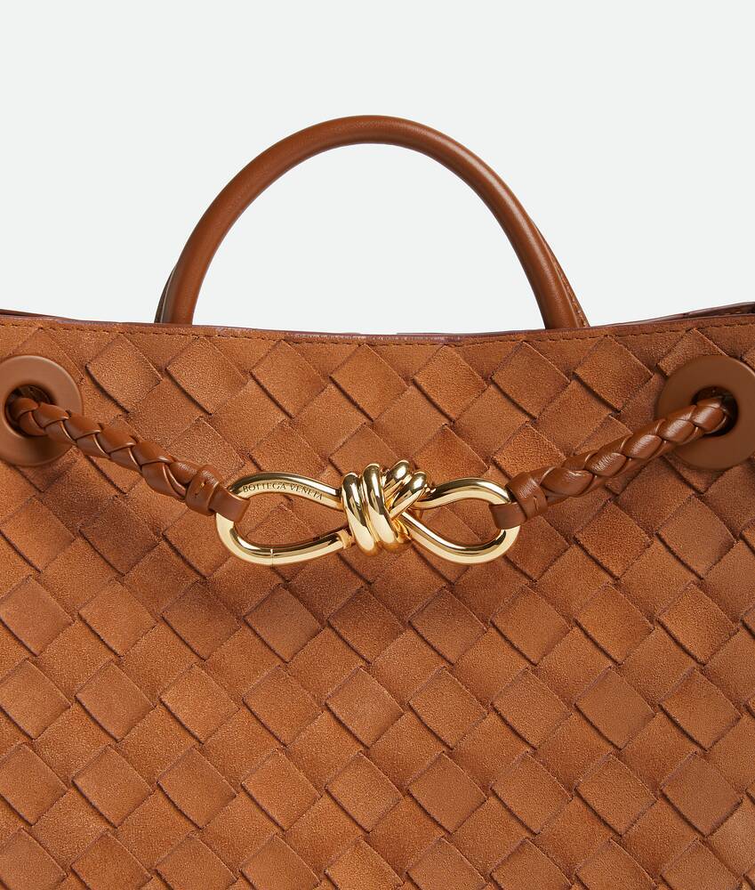 Bottega Veneta Small Andiamo In Orange