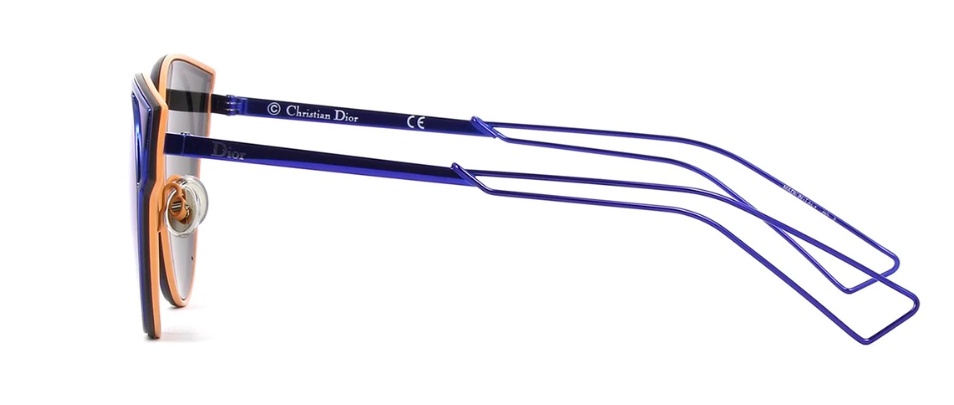 Dior Logo Sunglasses In Blue