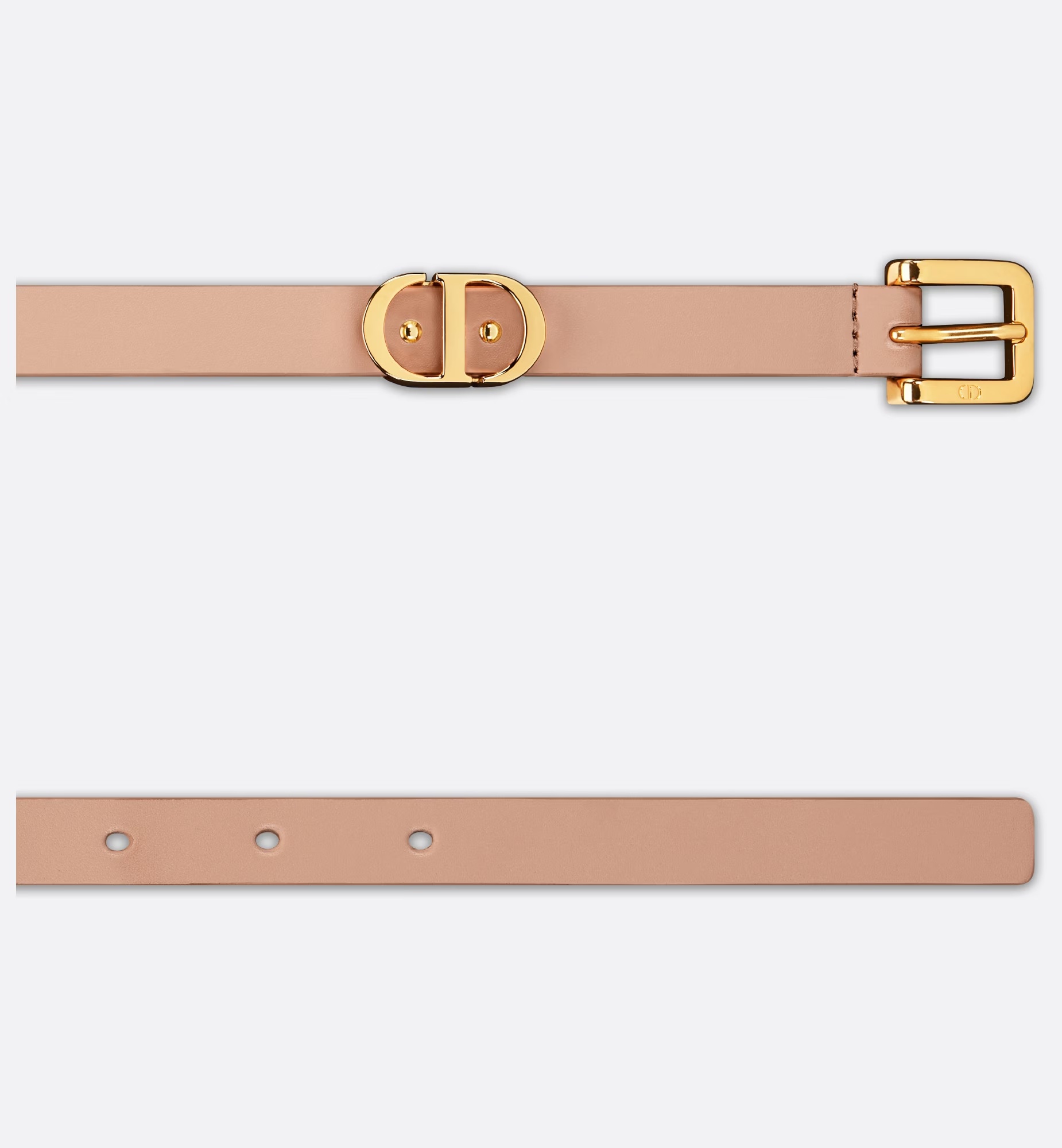 Dior 30 Montaigne Ring Belt In Nude