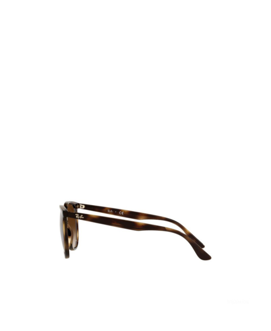 Ray Ban Emblem Daidai Pattern Sunglasses In Brown