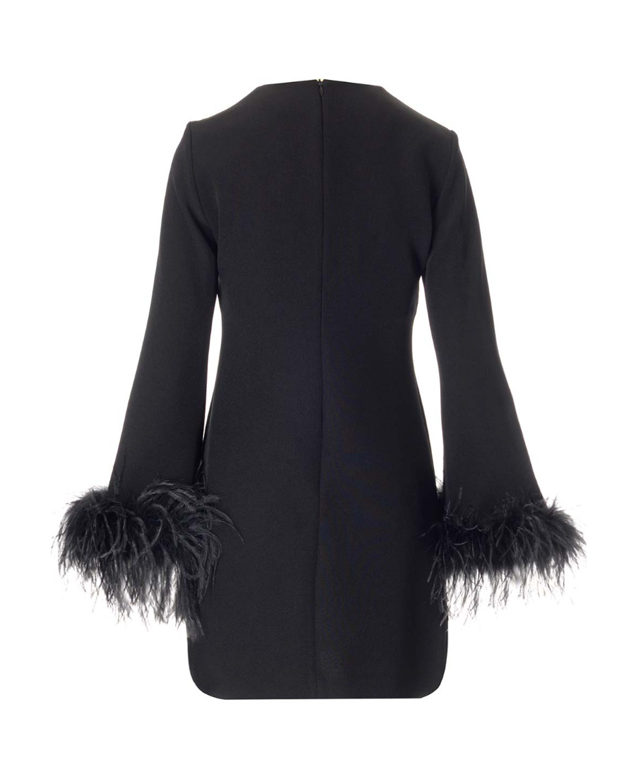 P.a.r.o.s.h Parosh Feather Trim Mini Dress With Elegant Silhouette And Keyhole Detail In Black