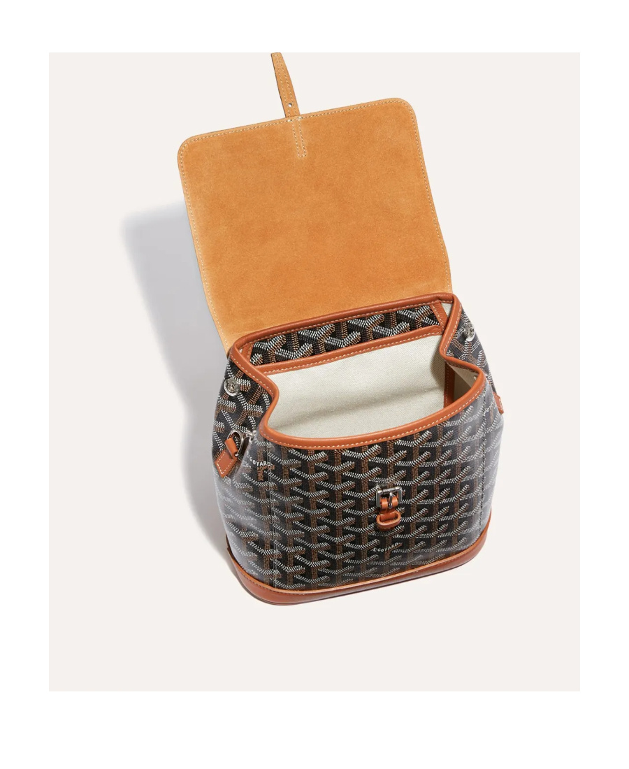 Pre-owned Goyard Mini Alpin Backpack In Multicolor