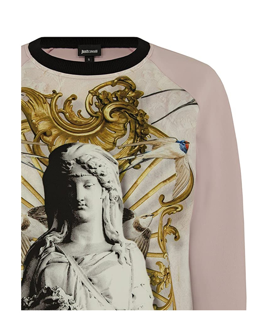 Just Cavalli Sports Sweater In Nude