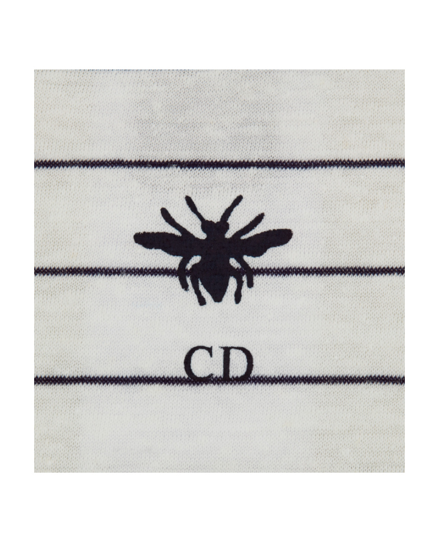 Dior Stripe Printed T-shirt In Gray