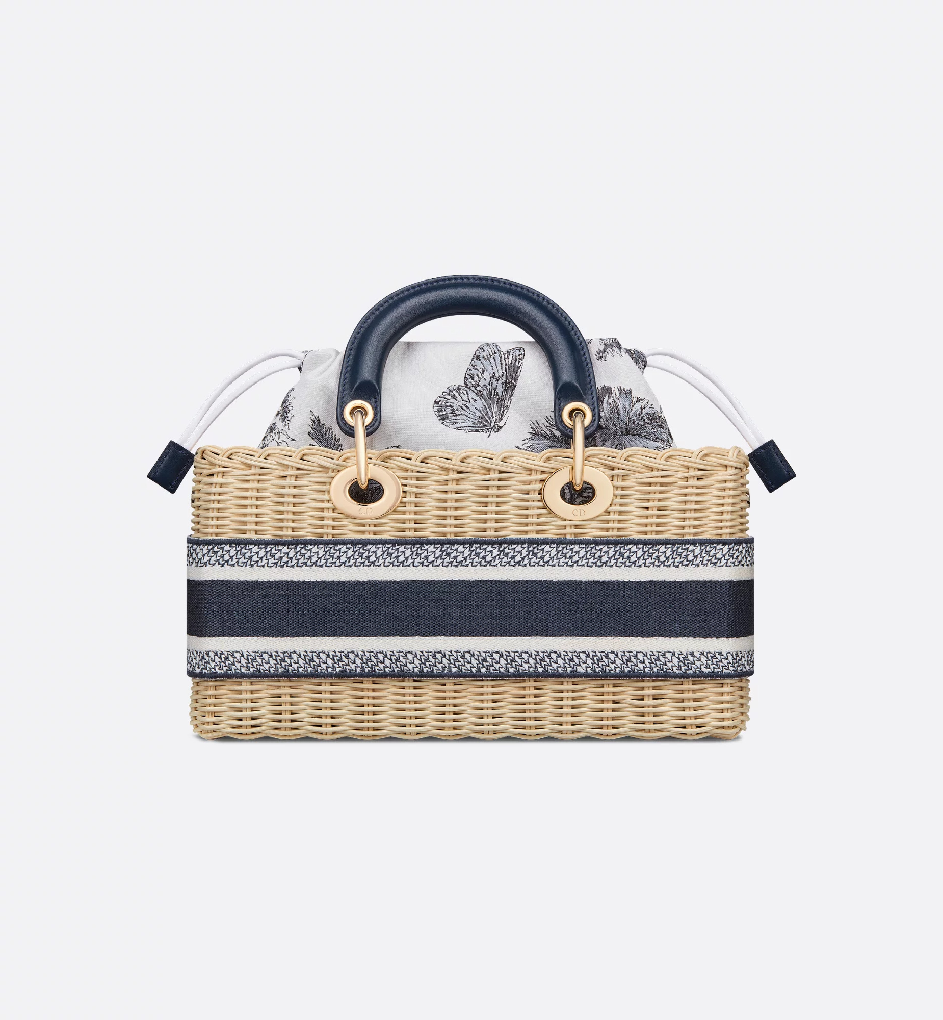 Dior Medium Lady D-joy Bag In Multi