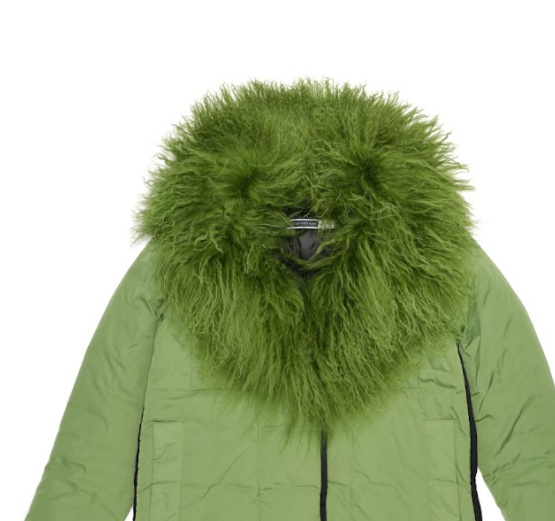Sportmax Down Jacket With Hairy Collar In Green
