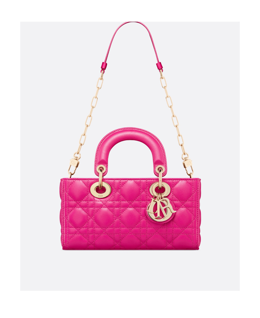 Dior Small Ladyd-joy Bag