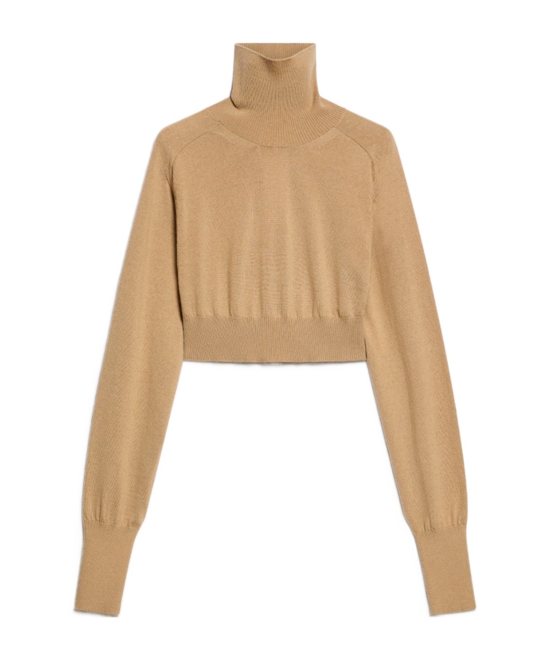 Sportmax Maglia Ululato A Lupetto Cropped In Nude