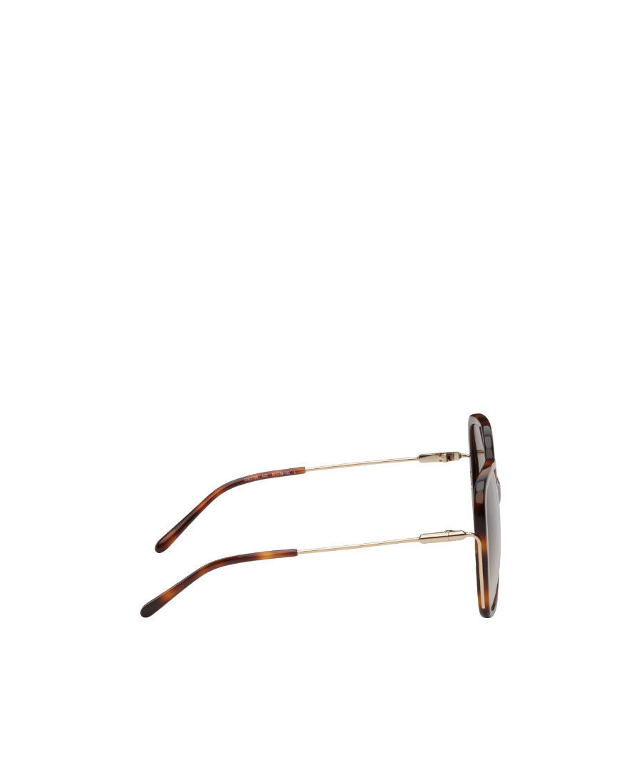 Chloé Tortoiseshell-effect Square-frame Sunglasses In Brown