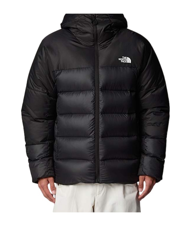 THE NORTH FACE 1996 RETRO NEPTUSE JACKET