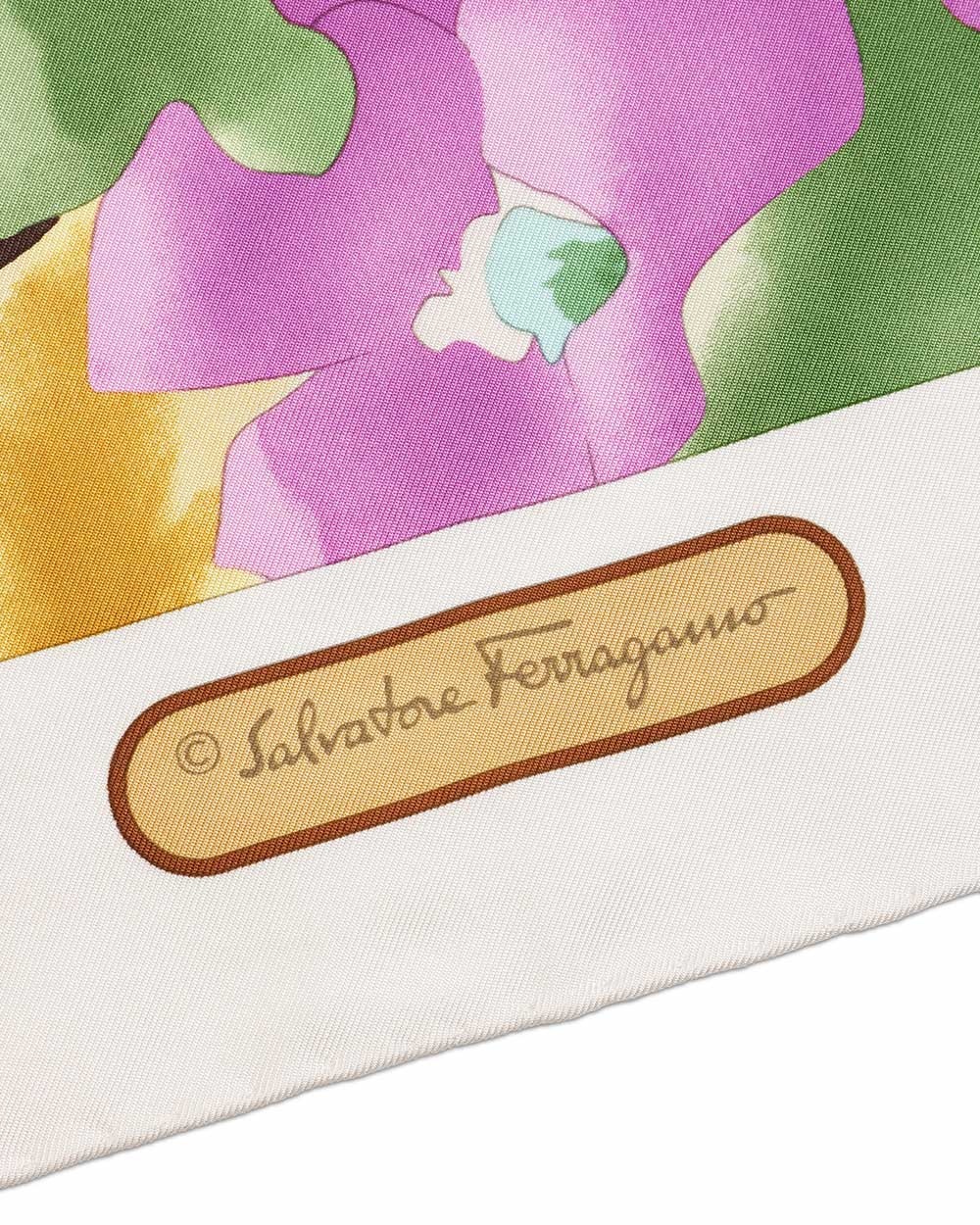 Ferragamo Printed Scarf In Multicolor
