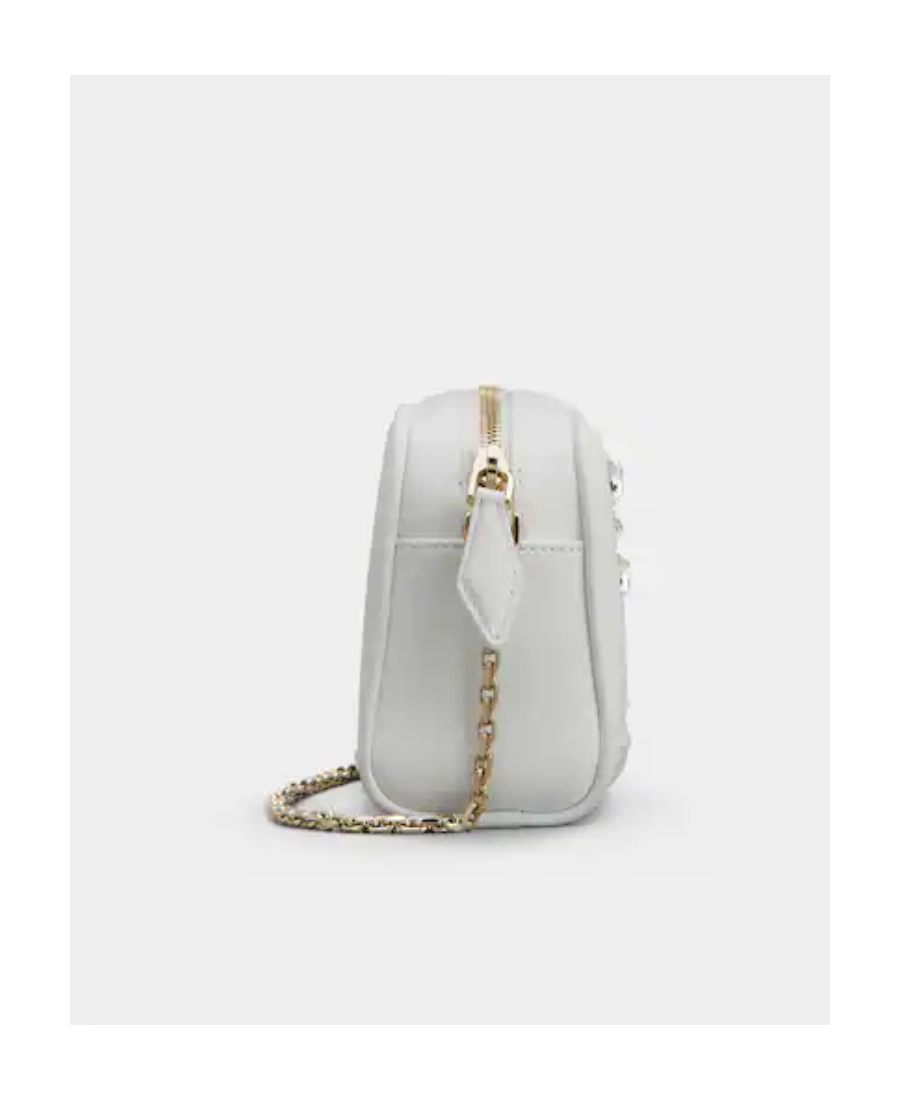 Roger Vivier Walky Viv Camera Bag In Gray