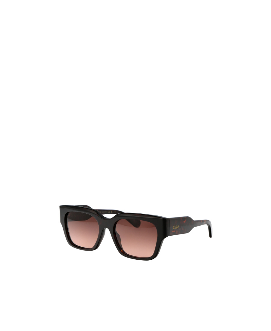 Chloé Havana-havana-copper Acetate Sunglasses In Black