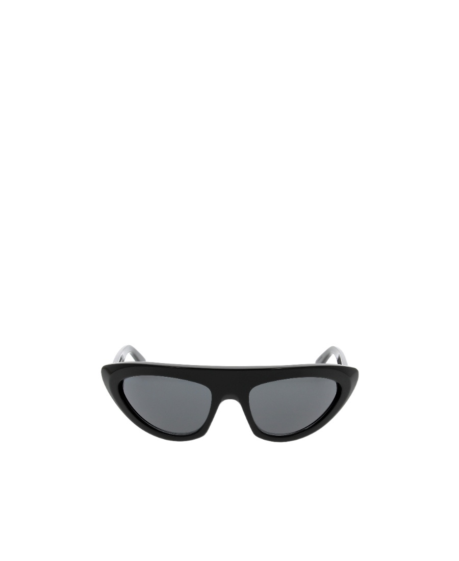 Celine Cat-eye Frame Design Sunglasses In Black