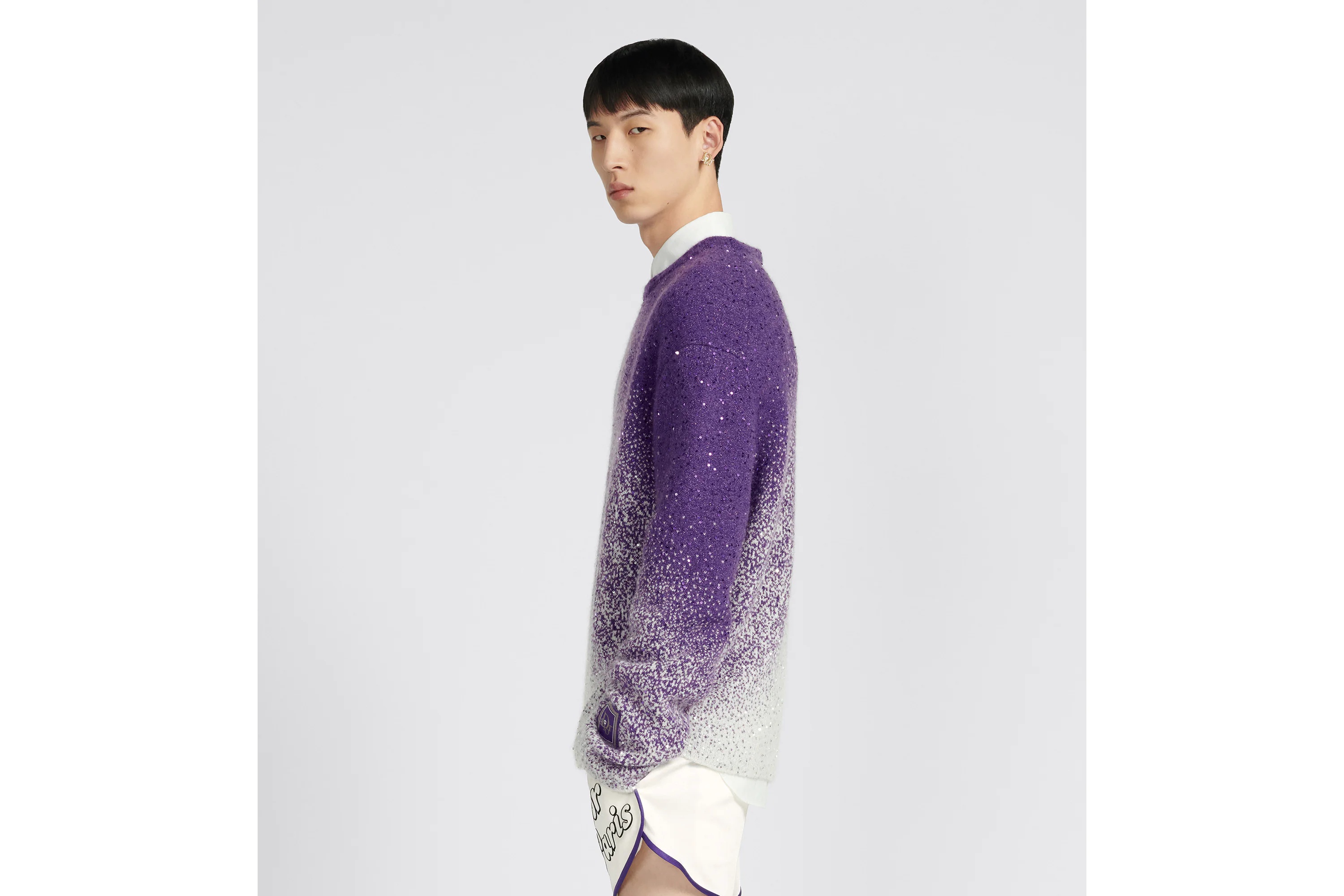 Dior Round Neck Sweater In Purple