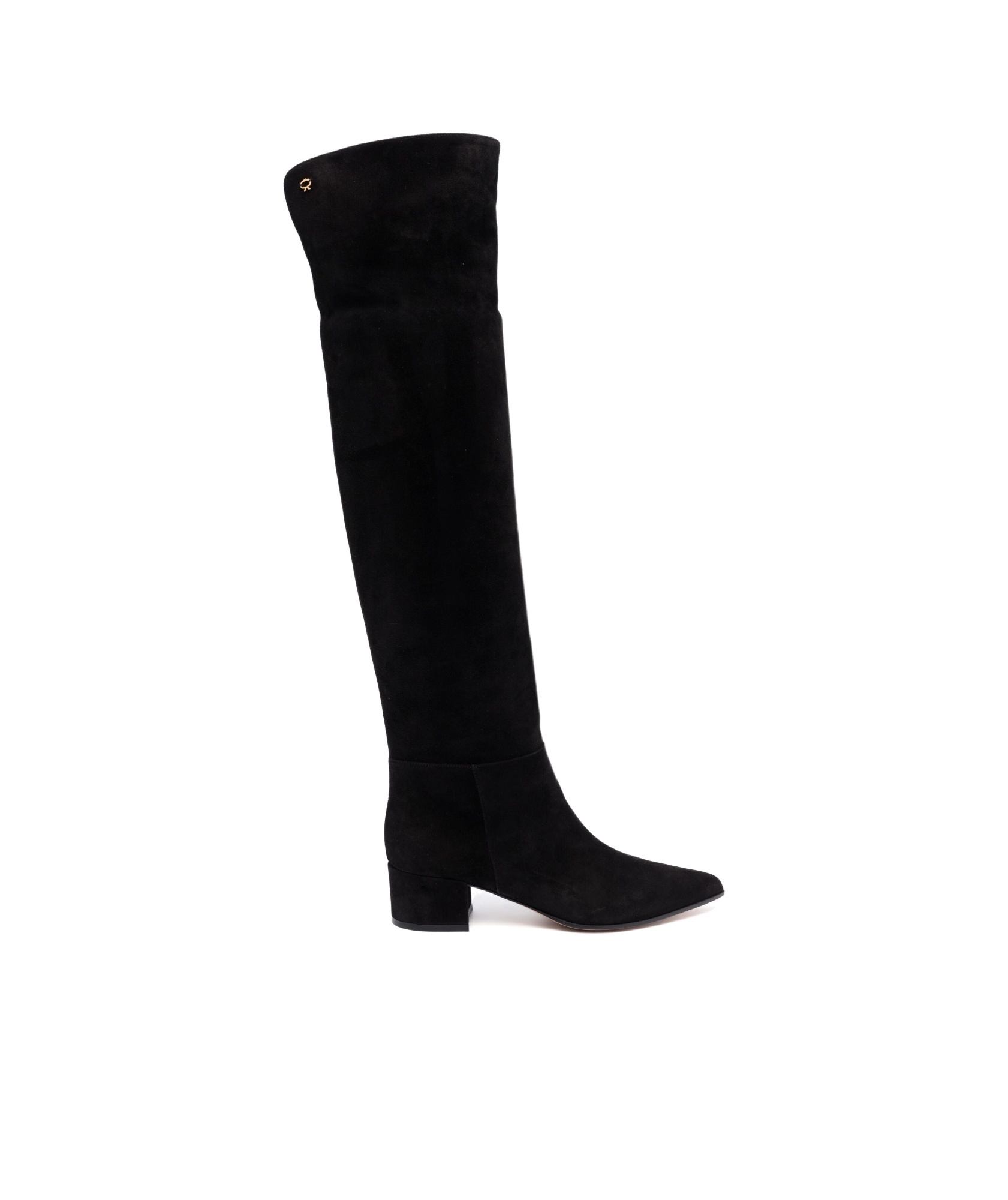 Shop Gianvito Rossi Pointed Boots In Black