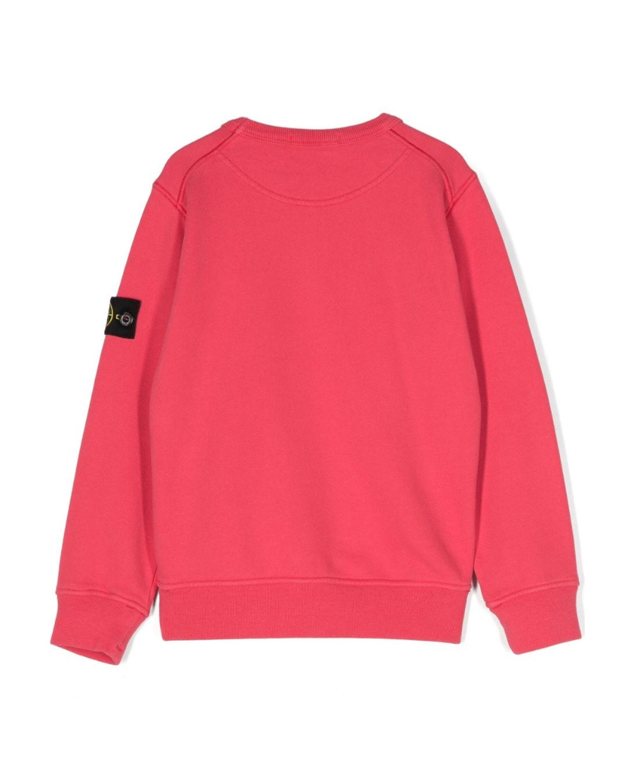Stone Island Compass-detachable Badge Sweatshirt In Red