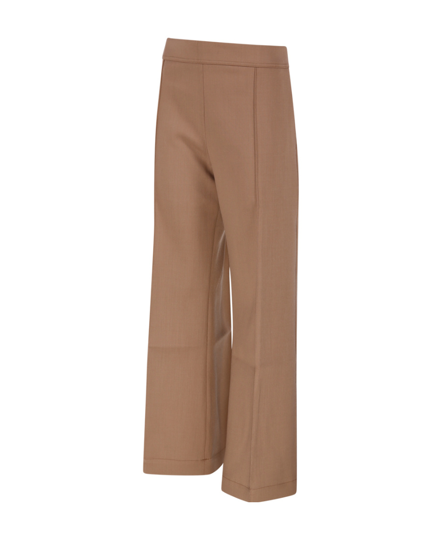 Studio Nicholson Straight Casual Pants In Brown