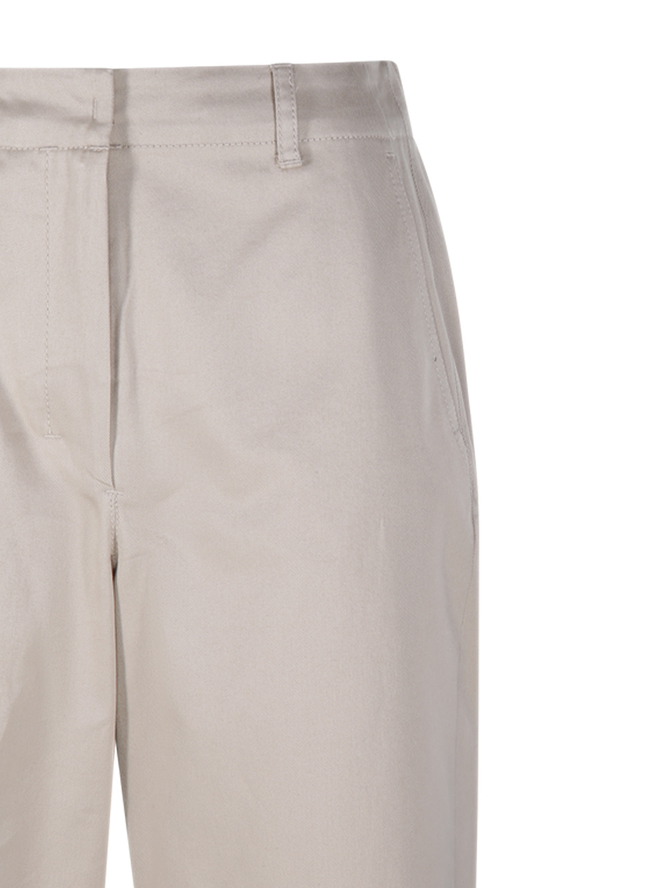 Max Mara Belt-loop Casual Pants In Nude