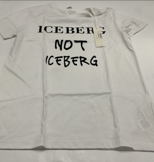 Iceberg Short-sleeved T-shirt In Gray