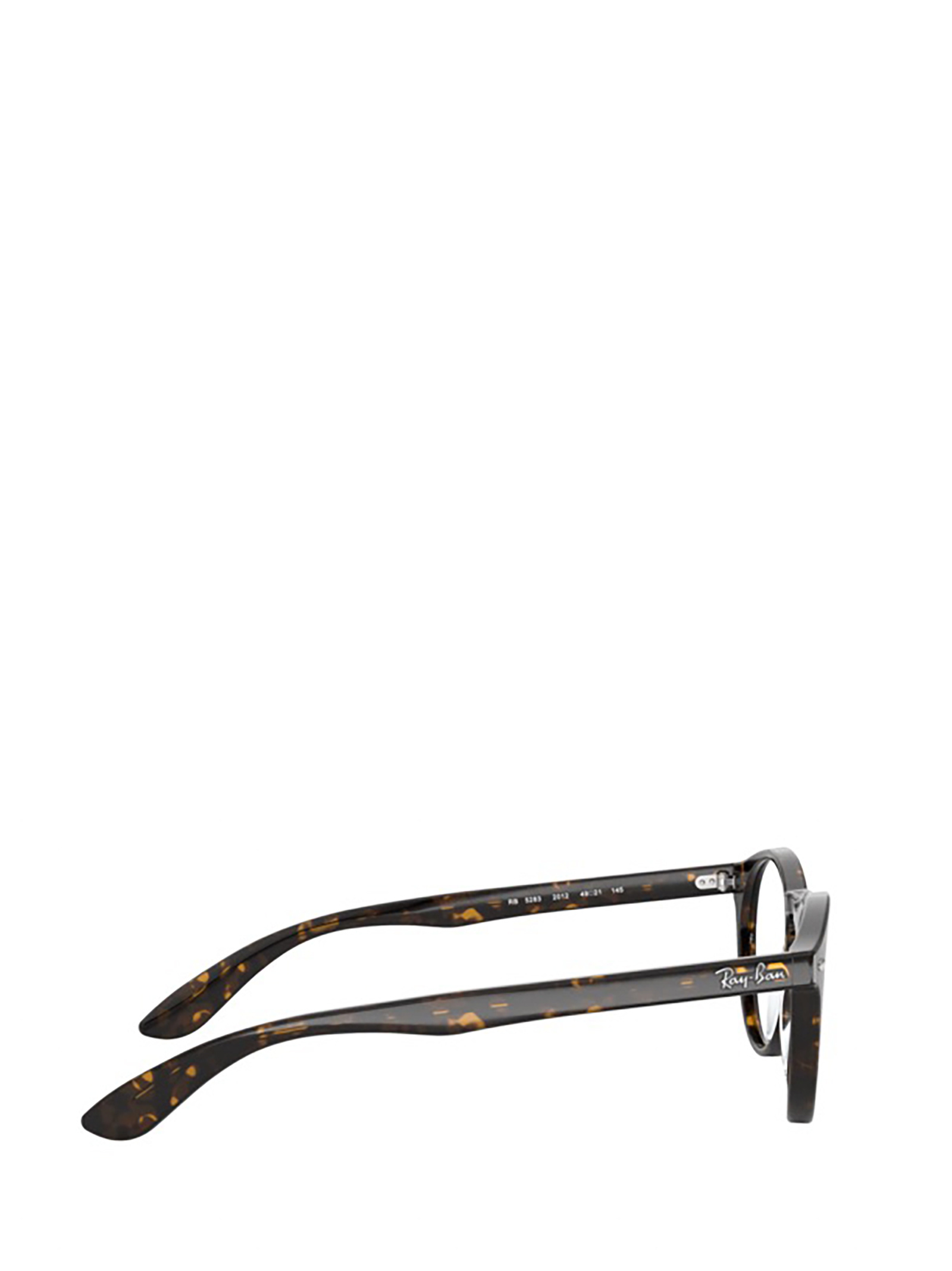 Ray Ban Ray-ban Round Frame Glasses In Black