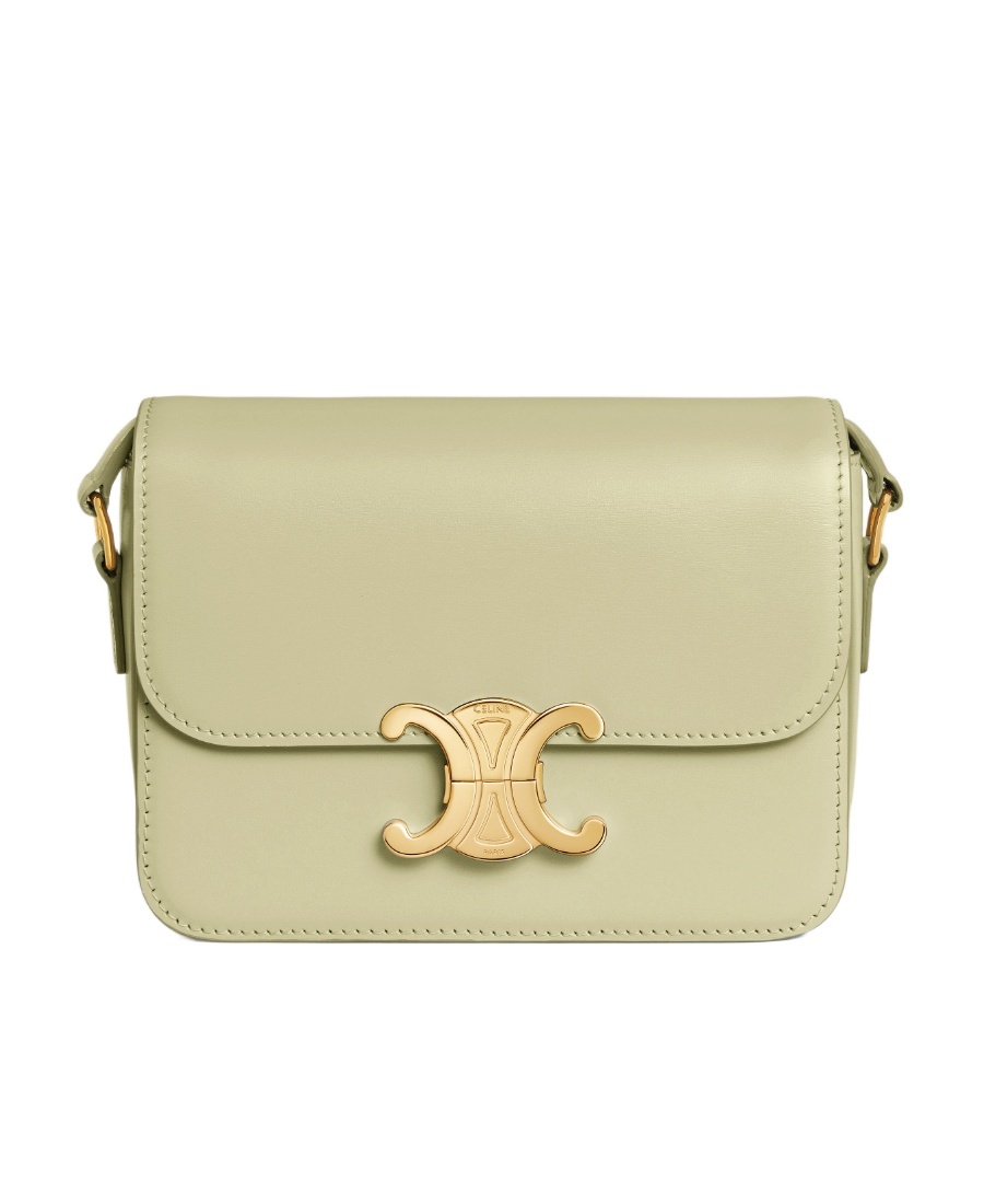 Celine Teen Triomphe Bag In Shiny Calfskin In Green