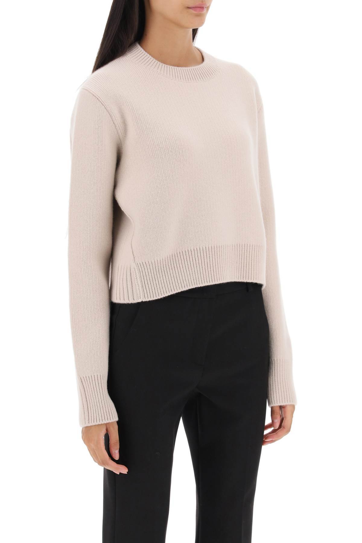 Lanvin Cropped Wool And Cashmere Sweater In Pink