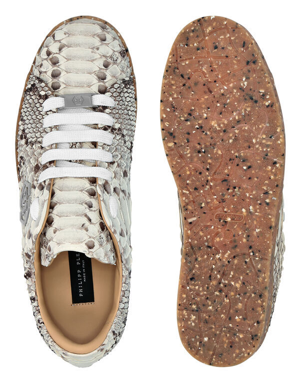 PHILIPP PLEIN ROUND HEAD LOW-CUT CASUAL SHOES