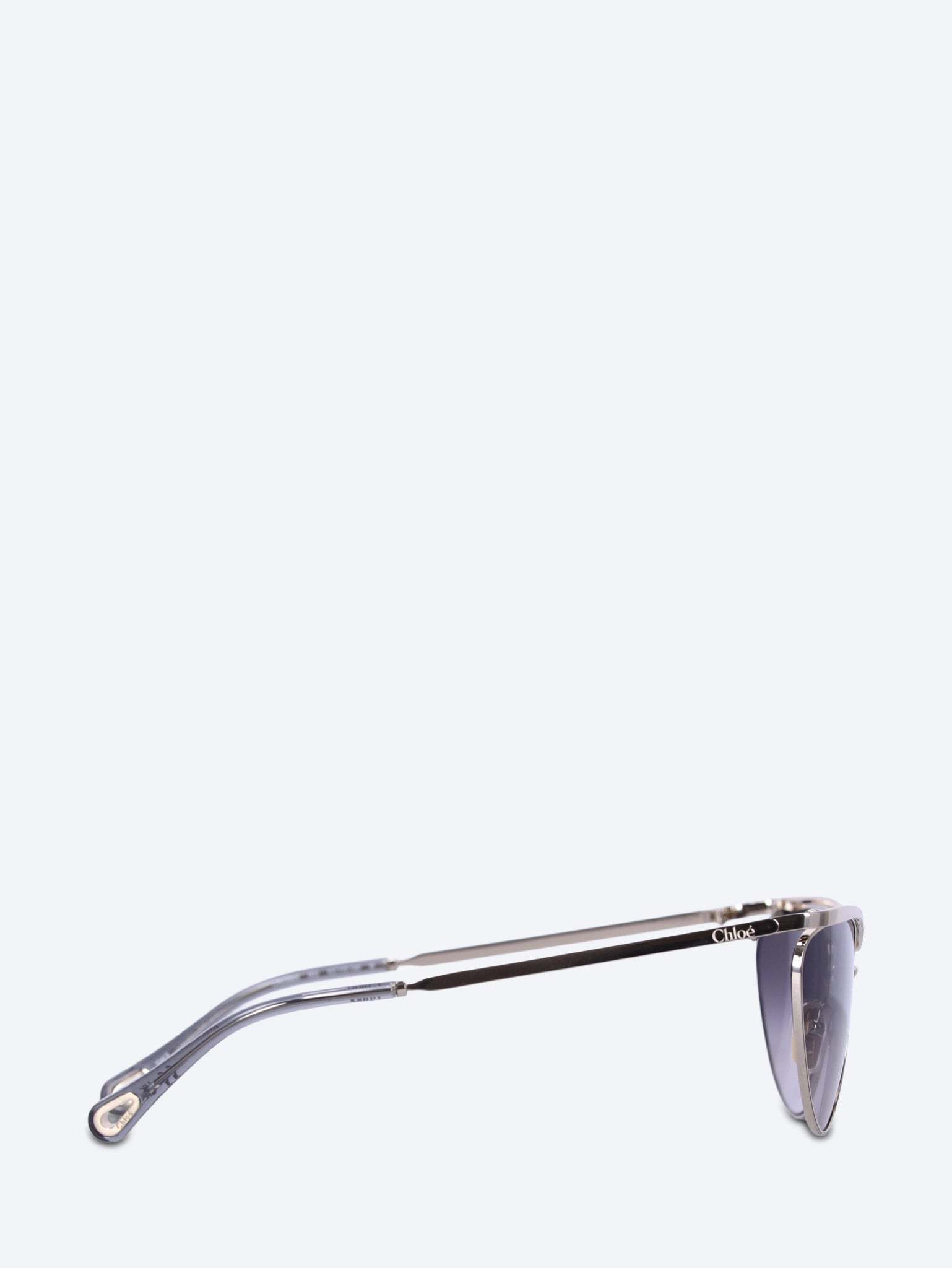 Chloé Full Frame Sunglasses In Multi