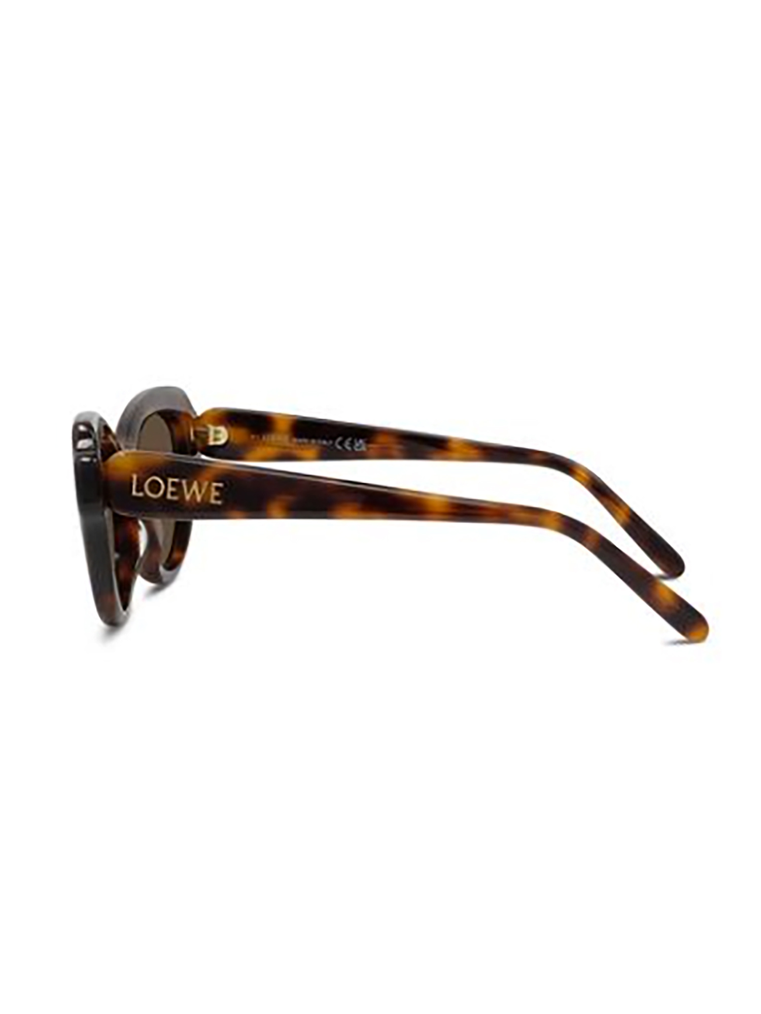 Loewe Full Frame Sunglasses In Brown