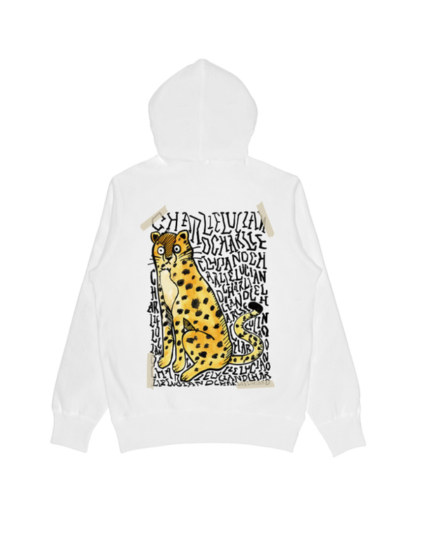 Charlie Luciano Printed Sweater In Gray