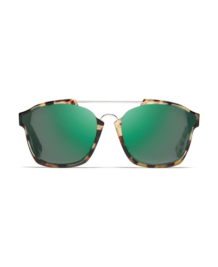 Dior Tortoise Turtle Square Sunglasses In Green