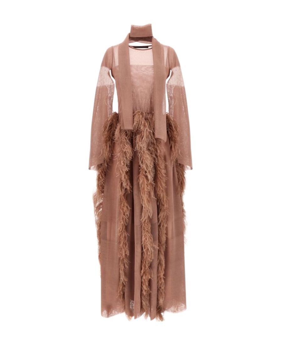 Antonino Valenti Feather-detail Silk Maxi Dress In Brown