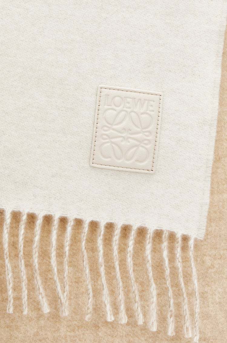 Shop Loewe Scarf In Wool And Cashmere In White