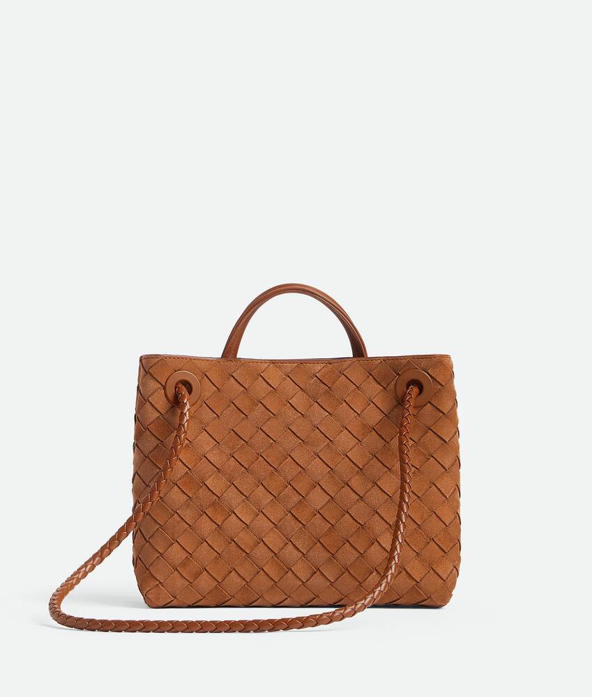 Bottega Veneta Small Andiamo In Orange