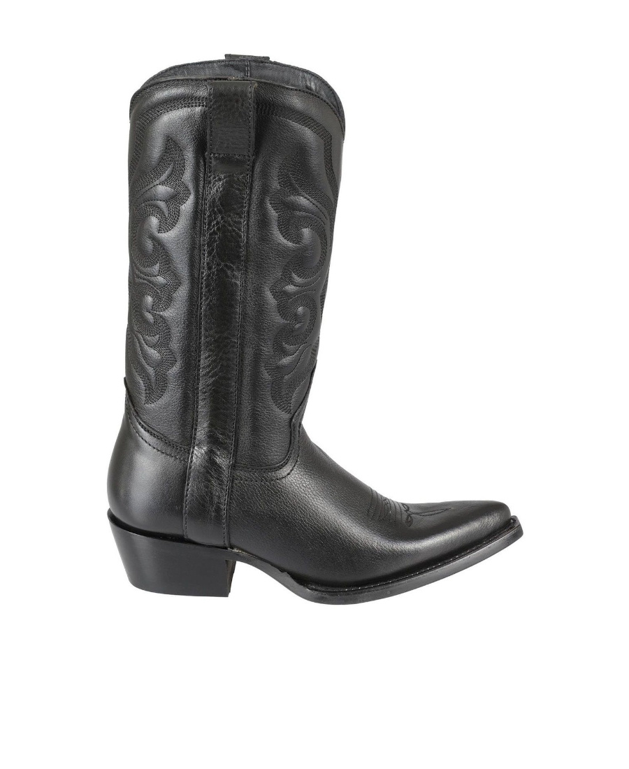 Ash Pointed Boots In Black