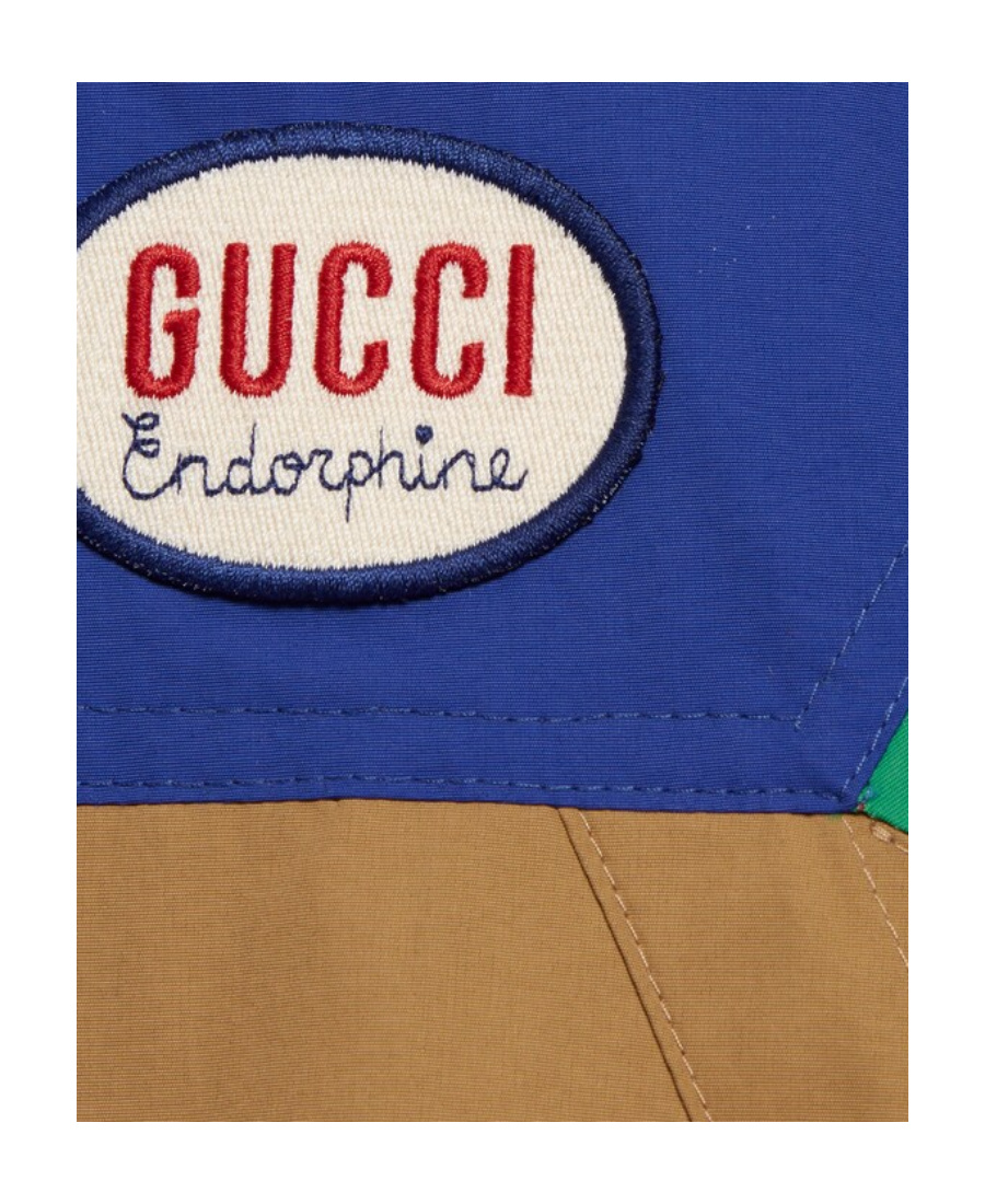 Gucci Logo Hooded Casual Jacket In Blue