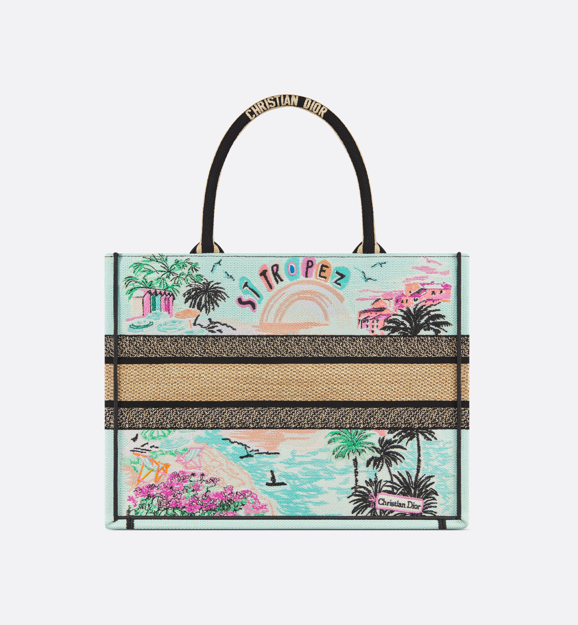 Dior St-tropez Souvenir Medium Book Tote In Multi